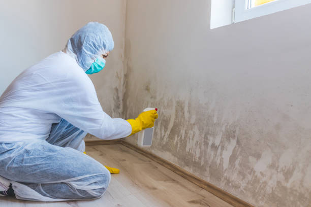 Hvac And Air Duct Mold Remediation inspection of HVAC system in Cameron