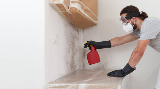 Attic Mold Remediation treatment on roof deck in Cameron